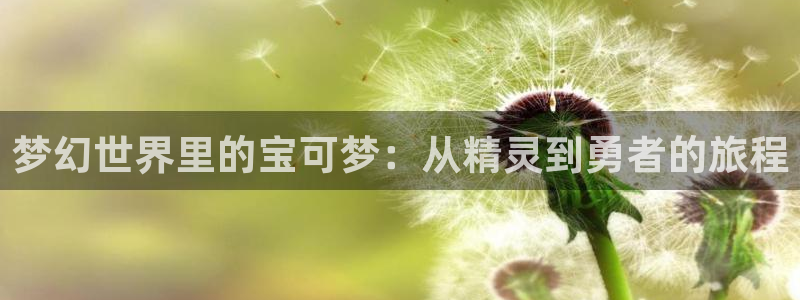 age动漫网入口：梦幻世界里的宝可梦：从精灵到勇者的旅程